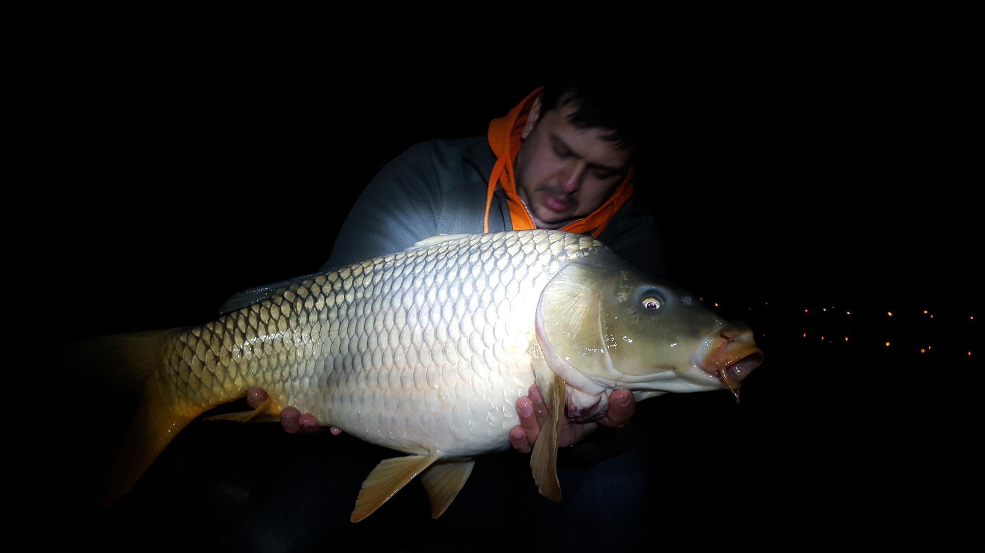 Hermes Peris 26 - 27 martie 2016 - 20160327050831.jpg